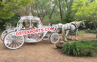 Elegant Look Cinderella Horse Carriages Buggy