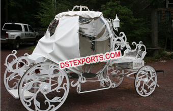 Beautiful Cinderella Horse Buggy