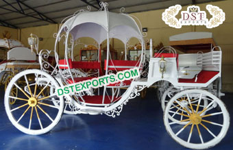 Graceful Cinderella Horse Carriage