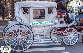 Modern Touring Victoria Horse Carriage