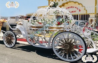 White Cinderella Horse Drawn Touring Carriage
