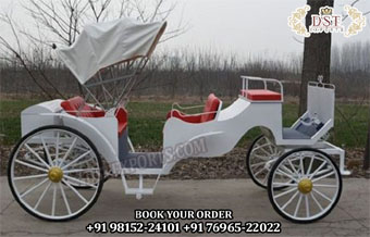 Latest Horse Driven Carriage in Victorian Design
